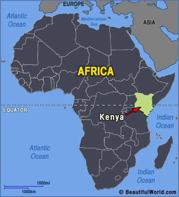 Kenya: Peaberry Plus, Kirinyaga County - Image 2