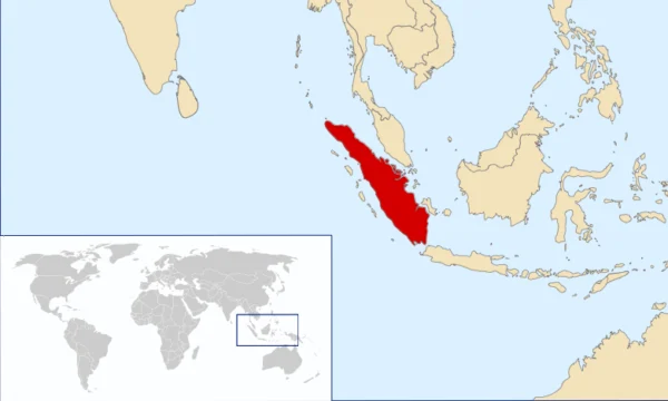 Sumatra: Mandheling G1, Aceh - Image 2